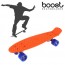 Skateboard Fish Boost (Skate 4 roues)