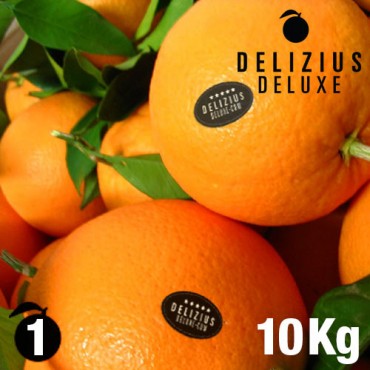 Oranges de Valence Navelines Deluxe 10 kg