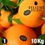 Oranges de Valence Navelines Deluxe 10 kg
