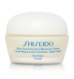 Shiseido - AFTER SUN intensive recovery cream 40 ml