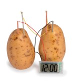Kit Expérience d'Horloge Pomme De Terre